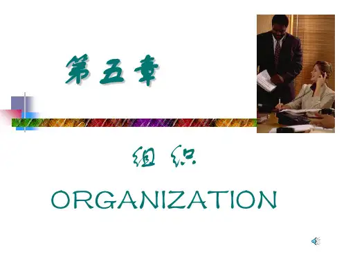 组织设计与组织变革