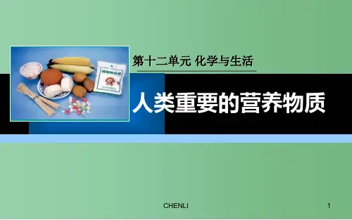九年级化学下册 第十二单元 课题1 人类重要的营养物质课件 (新版)新人教版