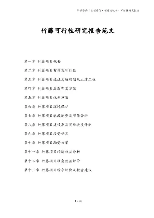 竹藤可行性研究报告范文