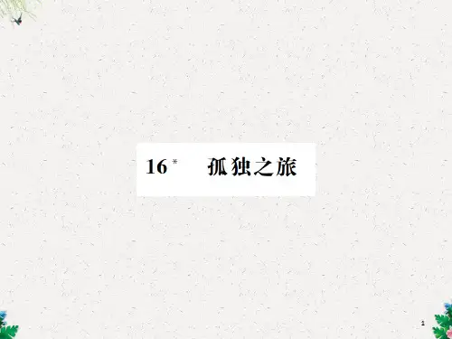 人教版(部编)语文九年级上册导学课件：16  孤独之旅