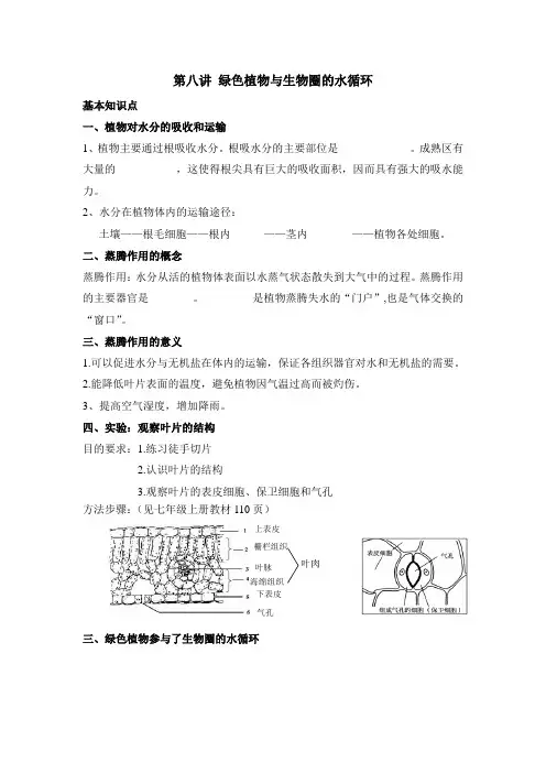复习 绿色植物与生物圈的水循环