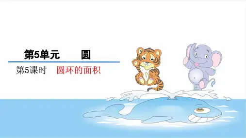 六年级上数学圆环的面积