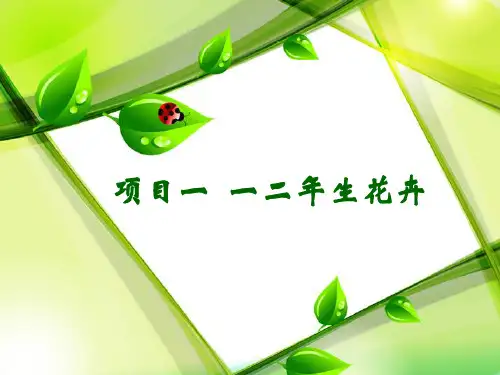 项目一 一二年生花卉5