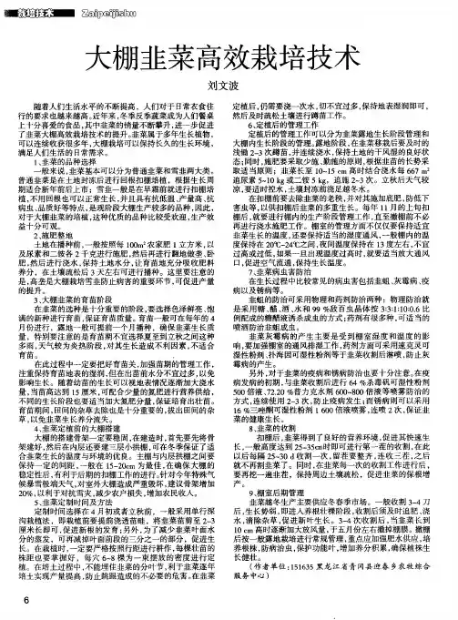 大棚韭菜高效栽培技术 2