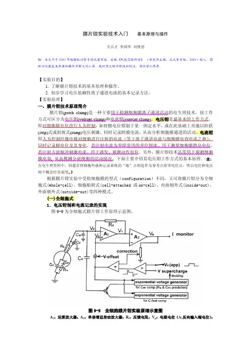膜片钳实验技术入门---基本原理与操作