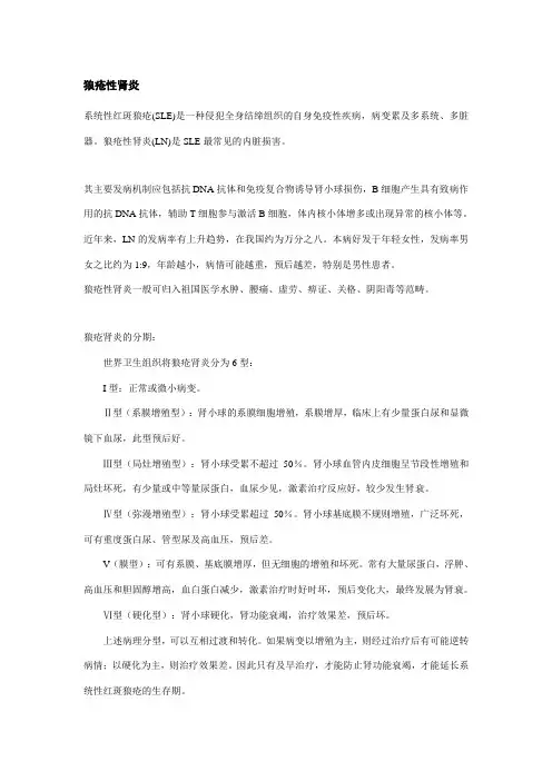 狼疮性肾炎