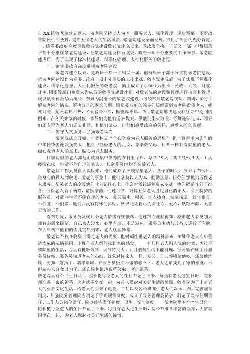 敬老院工作总结 3
