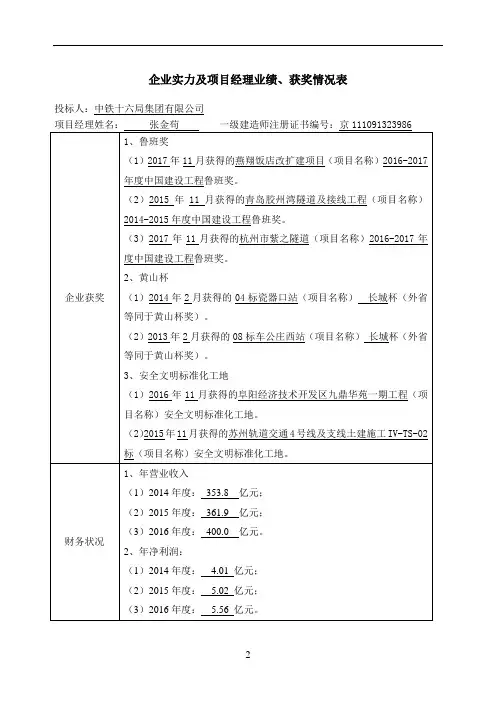 企业实力及项目经理业绩、获奖情况表