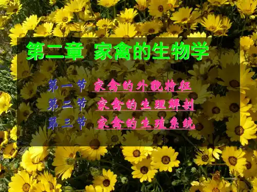 第二章 家禽的生物学特性