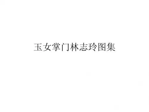 玉女掌门林志玲图集