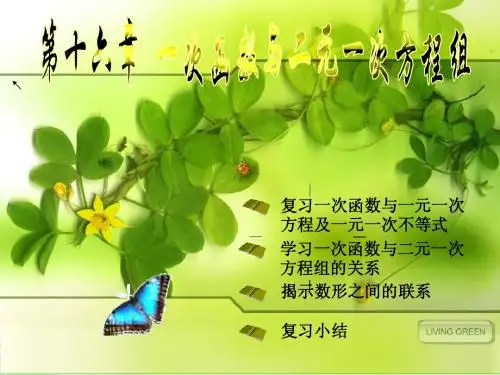 一次函数与二元一次方程组