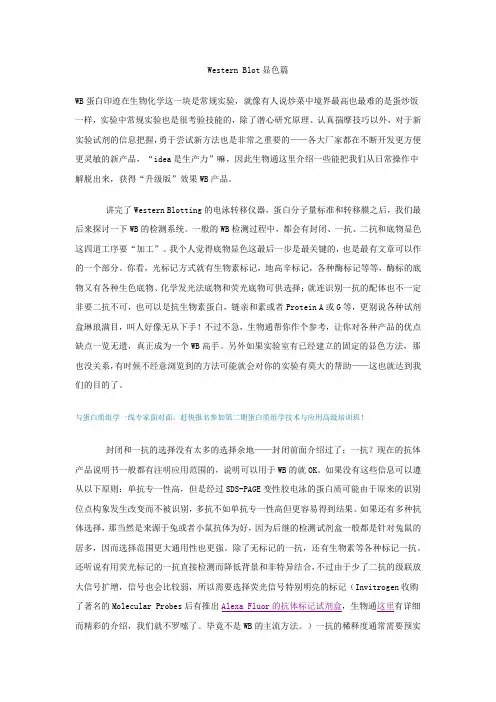 Western-Blot显色篇