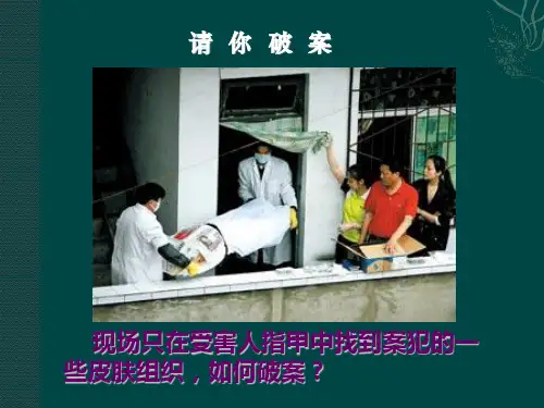 DNA的结构和复制优秀课件