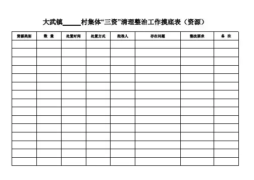 三资整改模底表台帐