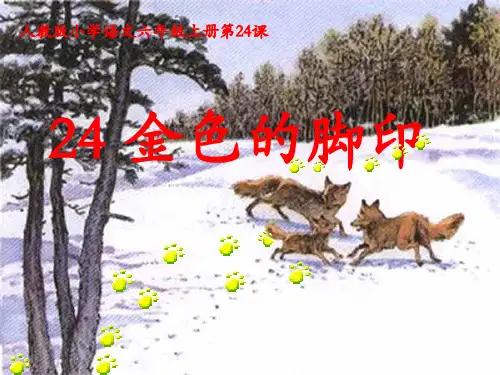 人教版小学语文六年级上册《 24 金色的脚印》 优质课教学课件_0