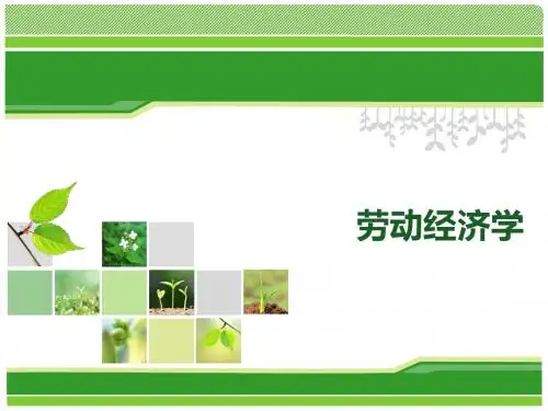 劳动经济学说课ppt