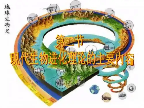 高中生物 进化