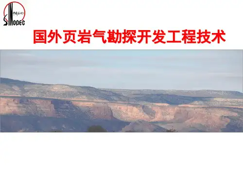 国外页岩气勘探开发技术