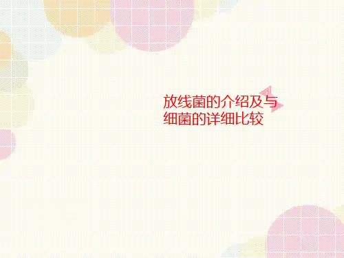 放线菌的介绍及与细菌的详细比较-讲义