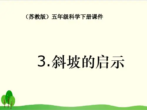 苏教版《斜坡的启示》精品系列1