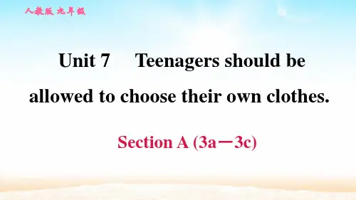 人教版九年级英语上册Unit7 Section A 3a-3c三