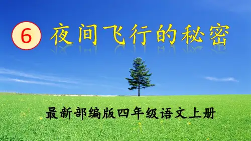 部编版《蝙蝠和雷达》PPT课件