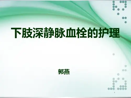 下肢深静脉血栓的护理.PPT课件