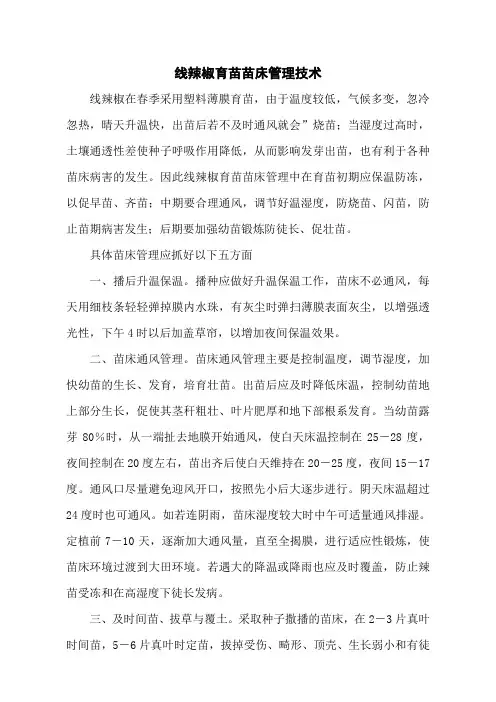 线辣椒育苗苗床管理技术