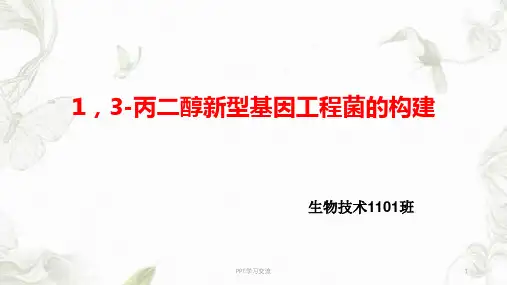 基因工程工程菌构建