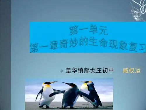 第一单元奇妙的生命现象复习课件