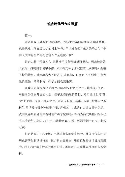 银杏叶优秀作文五篇