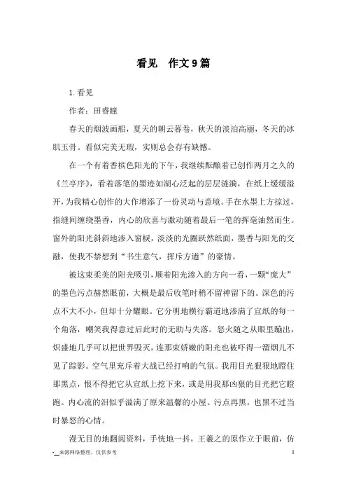 看见  作文9篇_优秀作文