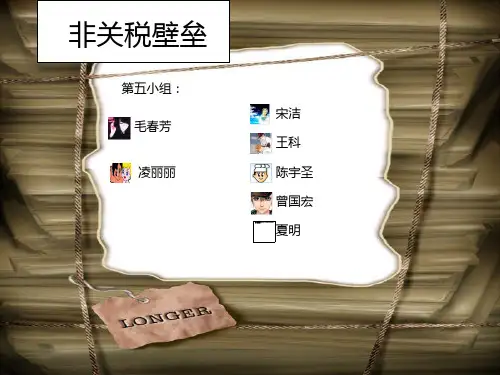非关税壁垒初探pptPowerPointPresen.pptx
