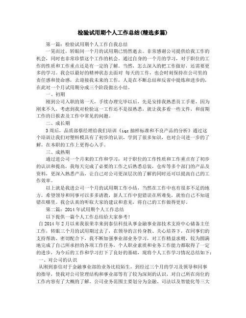 检验试用期个人工作总结(精选多篇)