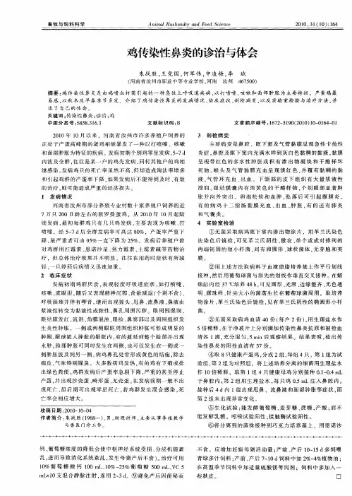 鸡传染性鼻炎的诊治与体会