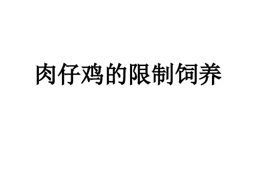 肉仔鸡的限制饲养