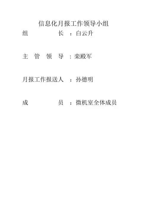 信息化月报工作领导小组