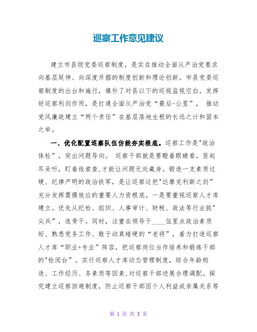 巡察工作意见建议