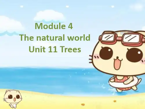 六年级上册英语课件module 4 unit 11 tree 沪教牛津版PPT