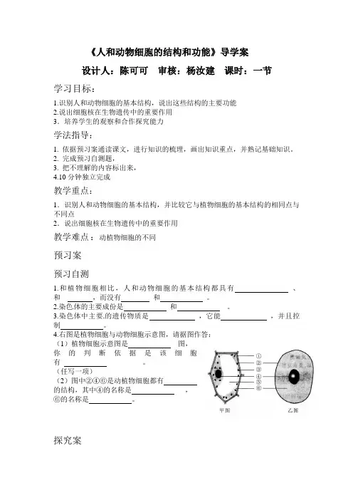 第三章第二节人和动物细胞的结构和功能