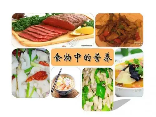 食物中的营养观摩课