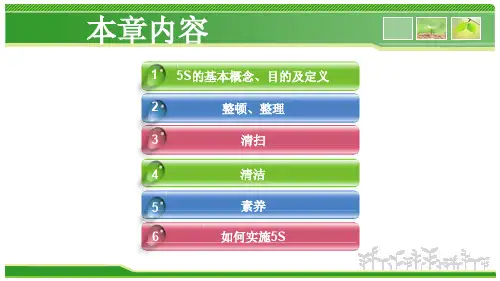 {5S6S现场管理}5S与可视化管理PPT31页