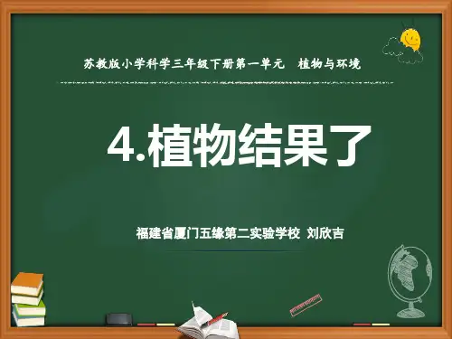 三年级下 4植物结果了 苏教版