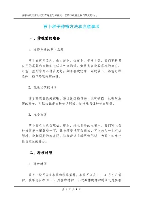 萝卜种子种植方法和注意事项