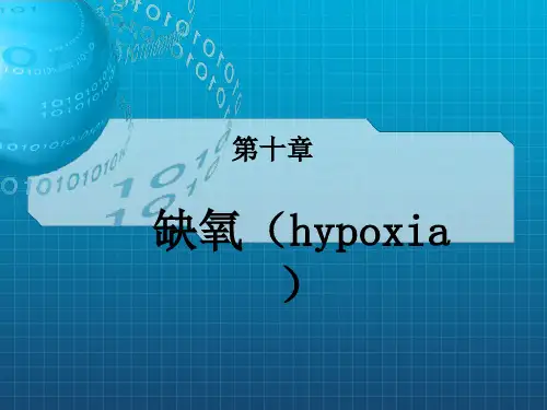 《缺氧护理措施》PPT课件