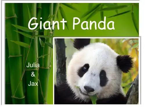 Introduction of Giant Panda大熊猫英文介绍
