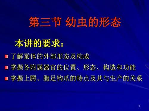 三幼虫的形态