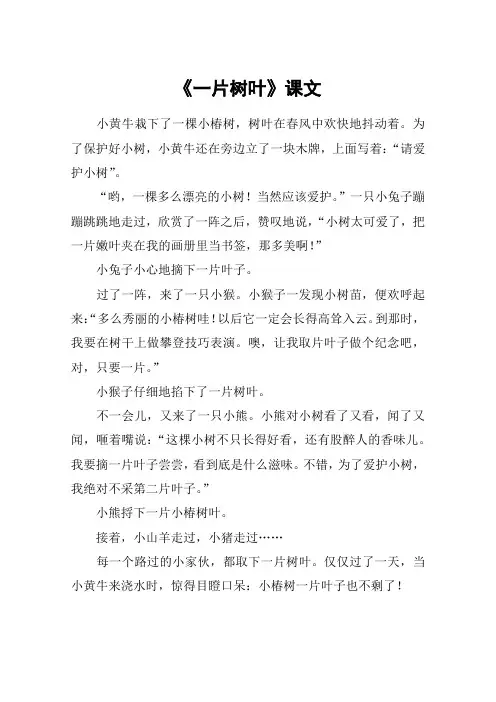 《一片树叶》课文