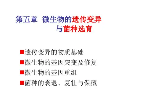 食品微生物学---第五章_微生物的遗传变异