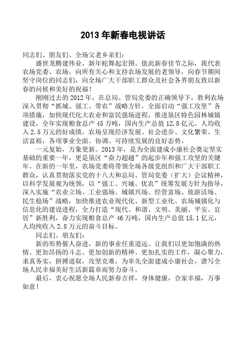 2013新春电视讲话